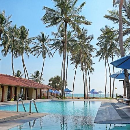 Amagi Beach - Secluded Slice Of Paradise Marawila Exteriör bild