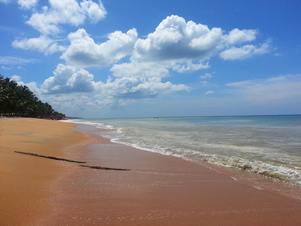 Amagi Beach - Secluded Slice Of Paradise Marawila Exteriör bild