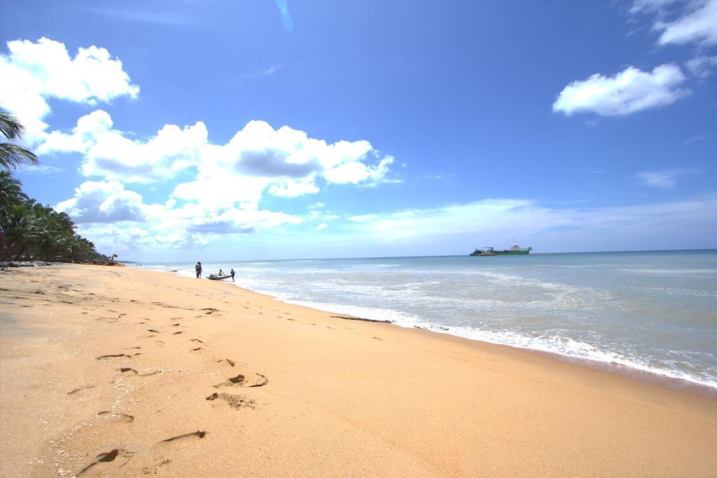 Amagi Beach - Secluded Slice Of Paradise Marawila Exteriör bild